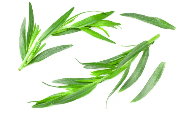 Tarragonbladeren Geïsoleerd Witte Achtergrond Artemisia Dracunculus Bovenaanzicht — Stockfoto