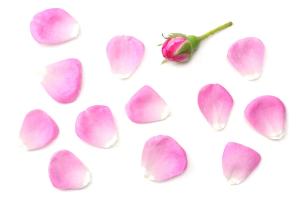 Roze Rozenblaadjes Geïsoleerd Witte Achtergrond Bovenaanzicht — Stockfoto