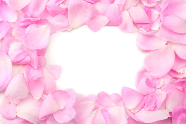 Roze Rozenblaadjes Geïsoleerd Witte Achtergrond Bovenaanzicht — Stockfoto