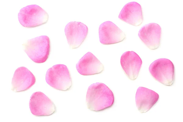 Roze Rozenblaadjes Geïsoleerd Witte Achtergrond Bovenaanzicht — Stockfoto