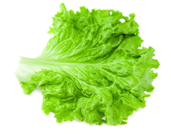 Salad Leaf One Green Lettuce Isolated White Background — Stock Photo, Image