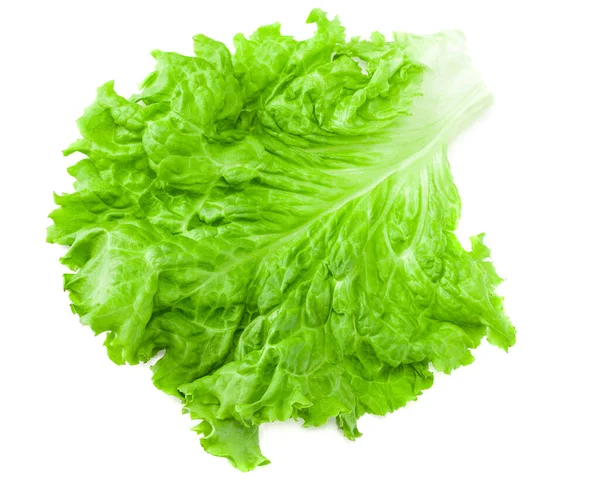 Foglia Insalata Una Lattuga Verde Isolata Fondo Bianco — Foto Stock