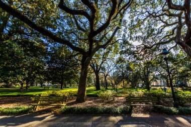 Savannah 'da Forsyth Park 'ta sıcak bir gün, Gürcistan gölgeli Magnol tarafından
