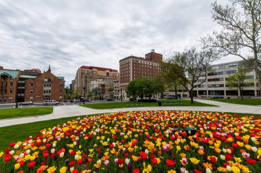 Doğu Capitol Park Albany, New York Capitol Binası alanında