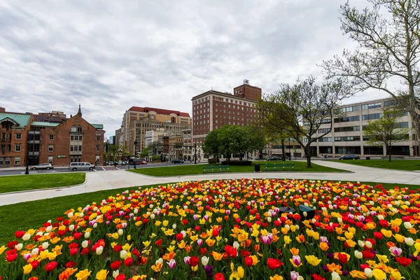 Capitol Building Area in East Capitol Park in Albany, New York