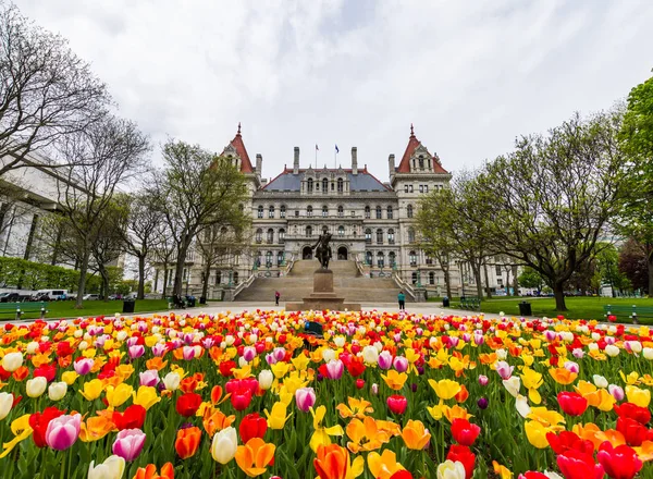 Capitol Building περιοχή στο Ανατολή Capitol πάρκο στο Albany, Νέα Υόρκη — Φωτογραφία Αρχείου