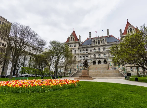 Powierzchnia budynku Kapitolu w East Capitol Park w Albany, Nowy Jork — Zdjęcie stockowe