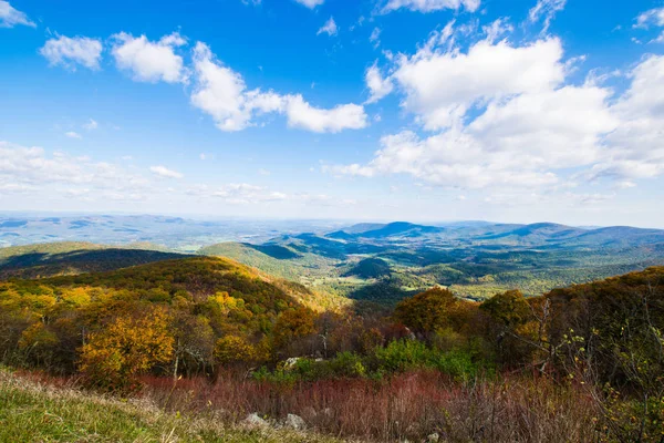 Colorful Leaves in Shenandoah National Park During high Fall Col — Stock Photo, Image