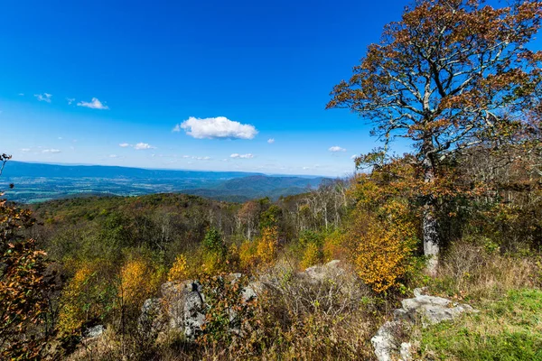 Feuilles colorées dans le parc national de Shenandoah pendant la haute automne Col — Photo