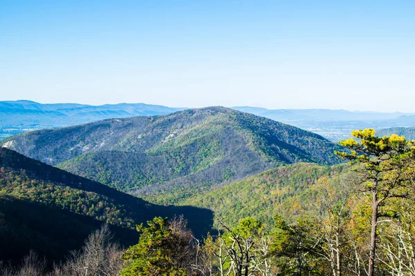 Feuilles colorées dans le parc national de Shenandoah pendant la haute automne Col — Photo