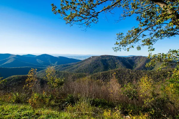 Feuilles colorées dans le parc national de Shenandoah pendant la haute automne Col — Photo