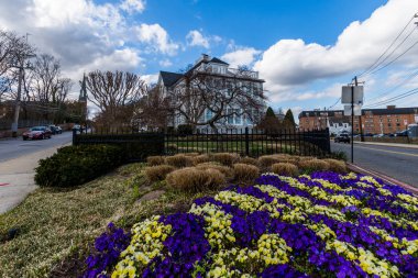 Şehir merkezindeki tarihi ilçe Annapolis, Maryland