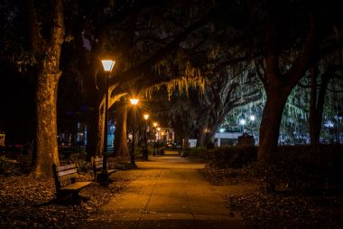 Savannah, Georgia gece parkta Forsyth
