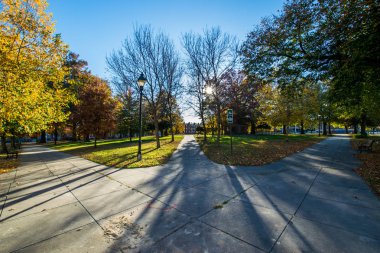Franklin Square Park içinde Baltimore, Maryland sonbahar sırasında