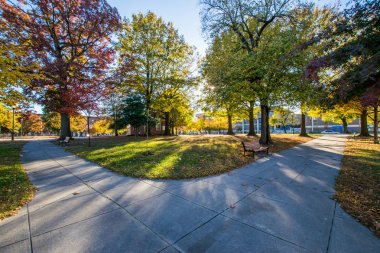 Franklin Square Park içinde Baltimore, Maryland sonbahar sırasında