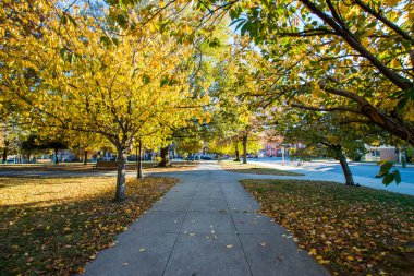 Franklin Square Park içinde Baltimore, Maryland sonbahar sırasında