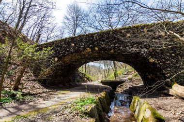 Schenley Park pittsburgh Pennsylvania Bridge'de Historic Park