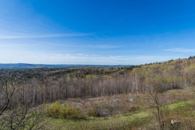 Kambur tepe dağ manzaralı Overlook içinde yeşil dağ devlet Park içinde