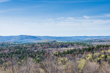 Kambur tepe dağ manzaralı Overlook içinde yeşil dağ devlet Park içinde