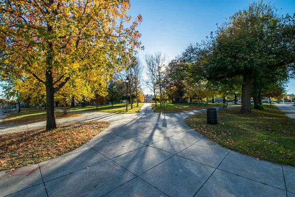 Franklin Square Park Syksyllä Baltimoressa, Marylandissa — kuvapankkivalokuva