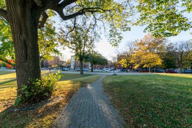 Patterson Park içinde Baltimore, Maryland sonbahar sırasında