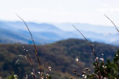 Blue Ridge Dağları Virginia Shenandoah Na, Skyline