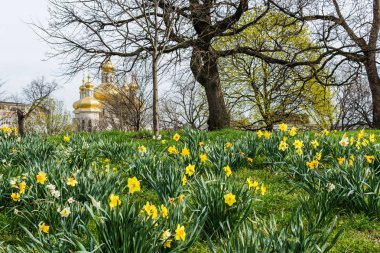 Patterson park baltimore Mar çiçekli bahar peyzaj