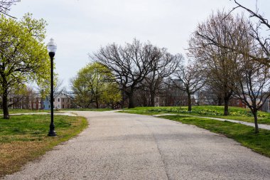 Patterson park baltimore Mar çiçekli bahar peyzaj