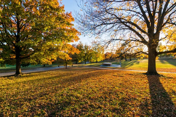 Patterson Park Syksyllä Baltimoressa, Marylandissa — kuvapankkivalokuva
