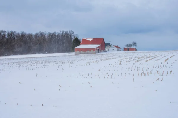 Snöigt land gårdar i södra York County Pennsylvania — Stockfoto