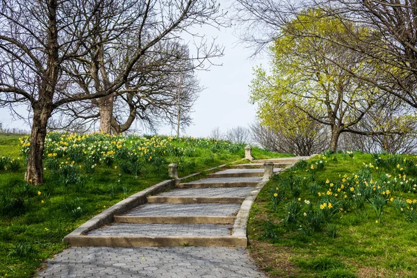 Frühlingslandschaft des Patterson Park mit Blumen in Baltimore mar Stockbild