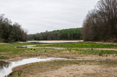 Codorus devlet parkında hano çevresinde göl marburg çiçek açan ağaçlar
