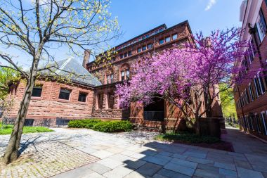Yale Üniversitesi New Haven Connecticut
