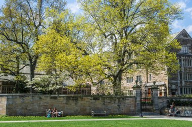 Yale Üniversitesi New Haven Connecticut