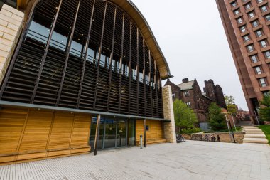 Yale Üniversitesi New Haven Connecticut