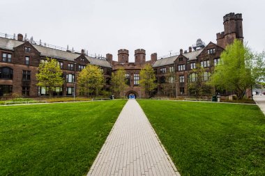 Yale Üniversitesi New Haven Connecticut