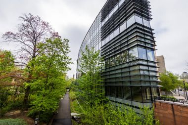 Yale Üniversitesi New Haven Connecticut