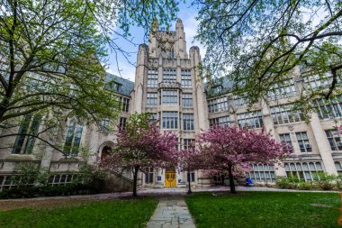 Yale Üniversitesi New Haven Connecticut