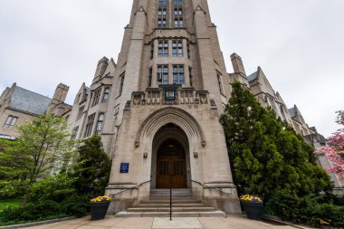 Yale Üniversitesi New Haven Connecticut