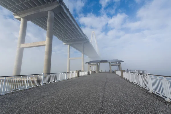 Wonders Way Walkway Dock in Charleston South Carolina in Fog