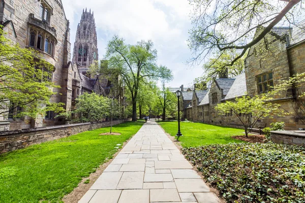 Universidad de Yale en New Haven Connecticut —  Fotos de Stock