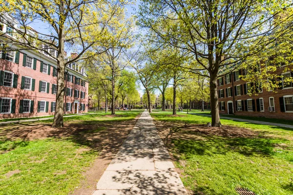 コネチカット州ニューヘイブンのイェール大学 — ストック写真