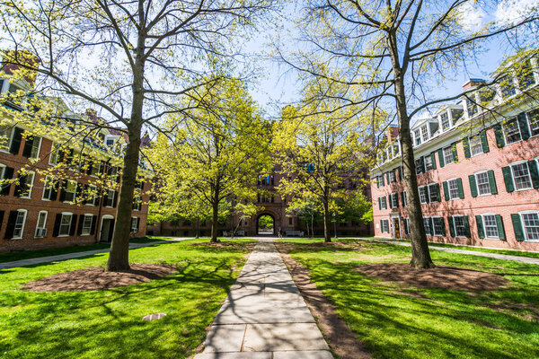 Yale University in New Haven Connecticut