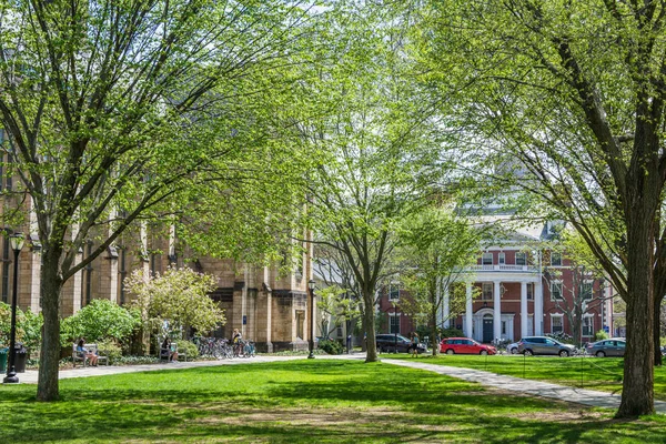 Universidad de Yale en New Haven Connecticut — Foto de Stock