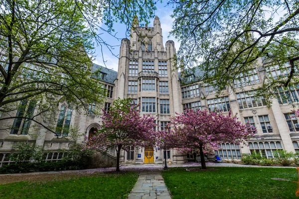 コネチカット州ニューヘイブンのイェール大学 — ストック写真