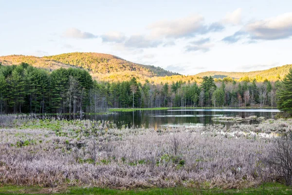 Indiai tó Madame Sherri erdő New Hampshire-ben — Stock Fotó