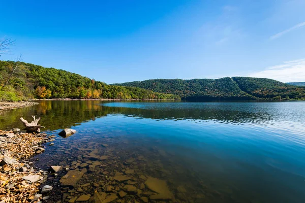 Üppige Vegetation rund um den Raystown Lake, in Pennsylvania während der Sommermonate — Stockfoto