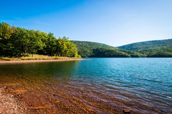 Vegetación exuberante alrededor del lago Raystown, en Pennsylvania durante la suma —  Fotos de Stock