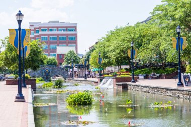 Doğal Frederick, Maryland Carrol Creek mesire alanında