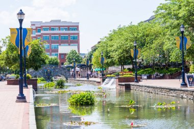 Doğal Frederick, Maryland Carrol Creek mesire alanında